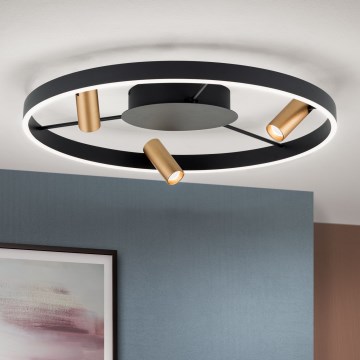 LED prigušivo stropno svjetlo BERLIN LED/50W/230V crno/zlatno