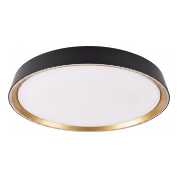 LED prigušivo stropno svjetlo ILVI LED/45W/230V 2700-6500K Ø 50 cm crno/bež + daljinski upravljač