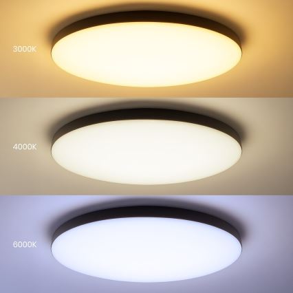 LED stropna svjetiljka SIENA s mogućnošću prigušivanja LED/80W/230V 3000-6000K promjer 75 cm crna + daljinski upravljač