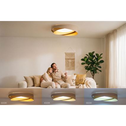 LED stropno svjetlo s prigušivanjem SMART GALAXY MODERN LED/24W/230V 3000-6500K Ø 55 cm bež/zlatna + daljinski upravljač