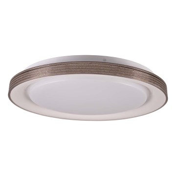 LED prigušivo stropno svjetlo za kupaonicu GRAŻYNA LED/48W/230V 3000-6000K promjer 41 cm IP44 siva + daljinski upravljač