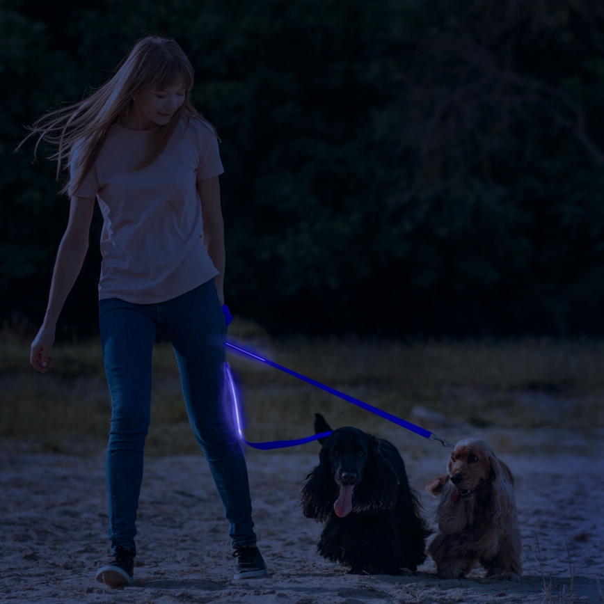 LED Punjiva povodac 120 cm 2xCR2032/5V/40 mAh plava