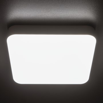 LED Radna stropna svjetiljka IPER LED/26W/230V IK10 IP65 uglast bijela