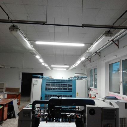 LED Radna svjetiljka LED/36W/230V IP40