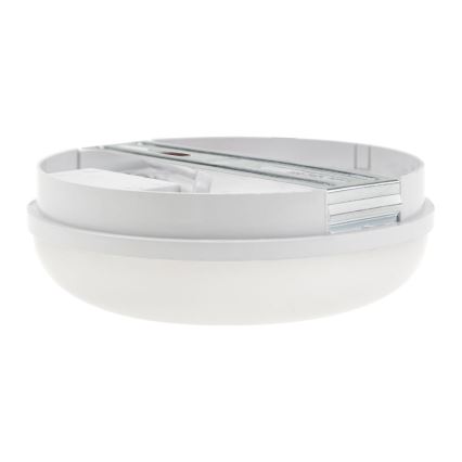 LED Radna svjetiljka LED/8W/230V IP54