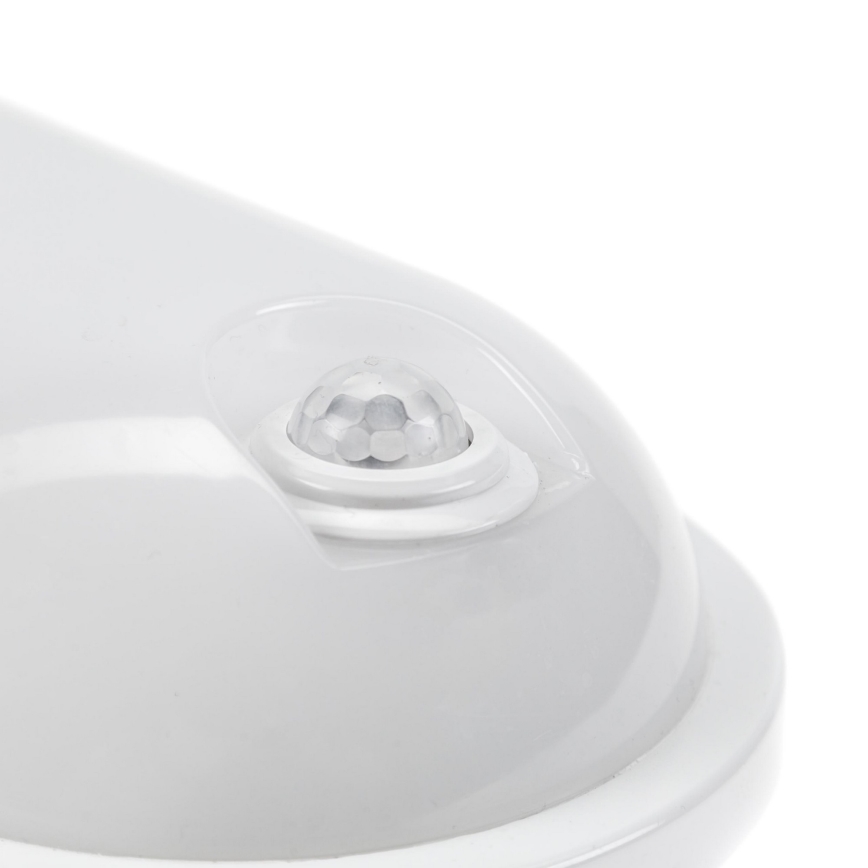 LED Radna svjetiljka s PIR senzorom LED/20W/230V IP54