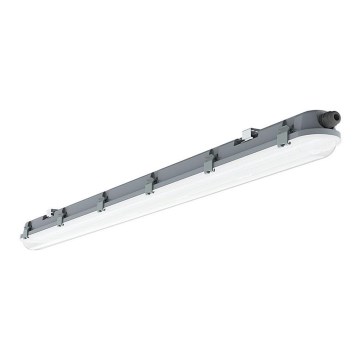 LED Radna svjetlosna cijev M-SERIES LED/36W/230V 4000K 120cm IP65