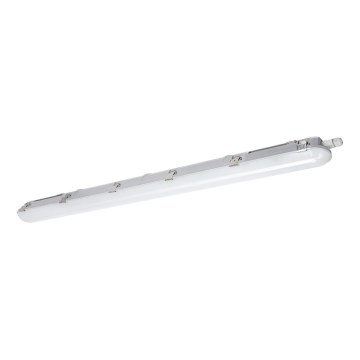 LED Radna svjetlosna cijev NEXFORCE LED/36W/230V 4000K IP66