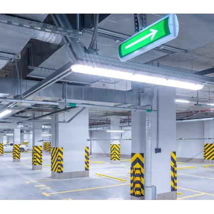 LED Radna svjetlosna cijev NEXFORCE LED/36W/230V 4000K IP66
