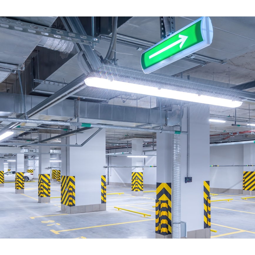 LED Radna svjetlosna cijev NEXFORCE LED/36W/230V 4000K IP66