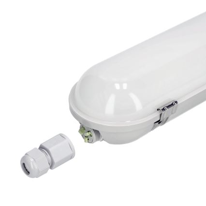LED Radna svjetlosna cijev NEXFORCE LED/40W/230V IP65 4000K