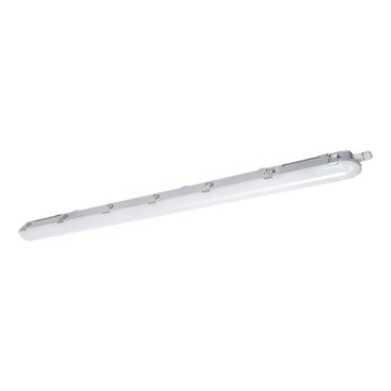 LED Radna svjetlosna cijev NEXFORCE LED/52W/230V IP66 4000K