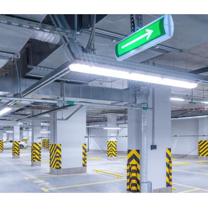 LED Radna svjetlosna cijev NEXFORCE LED/52W/230V IP66 4000K
