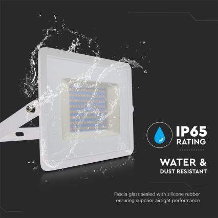 LED Reflektor LED/100W/230V 6500K IP65 bijela