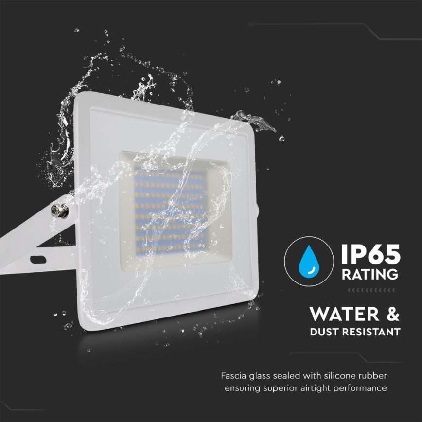 LED Reflektor LED/100W/230V 6500K IP65 bijela
