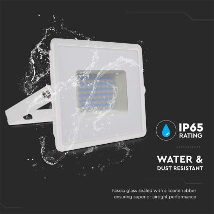 LED Reflektor LED/50W/230V 6500K IP65 bijela