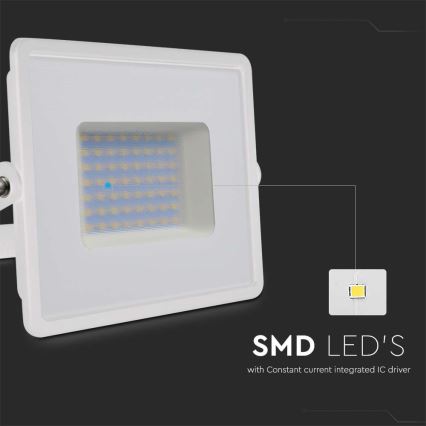 LED Reflektor LED/50W/230V 6500K IP65 bijela