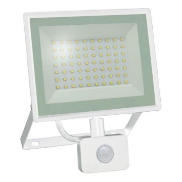 LED reflektor s detektorom pokreta NOCTIS LUX 3 LED/50W/230V 4000K IP44 bijela