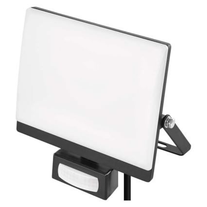 LED reflektor s senzorom pokreta i sumraka TAMBO EVO LED/30W/230V 4000K IP44 crna
