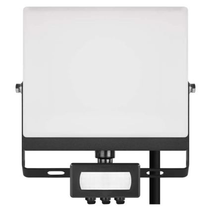 LED reflektor s senzorom pokreta i sumraka TAMBO EVO LED/30W/230V 4000K IP44 crna