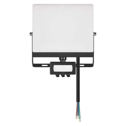 LED reflektor s senzorom pokreta i sumraka TAMBO EVO LED/30W/230V 4000K IP44 crna