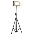 LED reflektor s postoljem za uzgoj biljaka FIRON LED/45W/230V IP54 crni