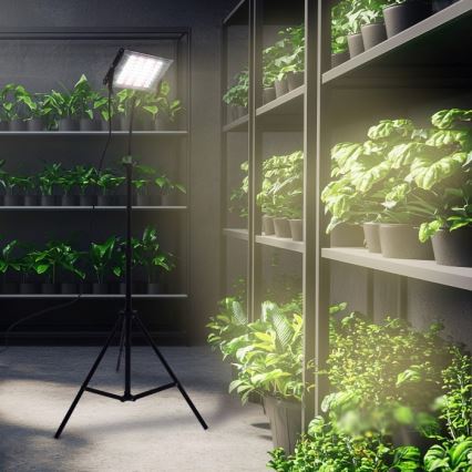 LED reflektor s postoljem za uzgoj biljaka FIRON LED/45W/230V IP54 crni