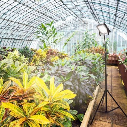 LED reflektor s postoljem za uzgoj biljaka FIRON LED/45W/230V IP54 crni