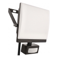 LED reflektor s senzorom pokreta i sumraka TAMBO EVO LED/50W/230V 4000K IP44 crna