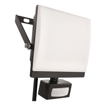LED reflektor s senzorom pokreta i sumraka TAMBO EVO LED/50W/230V 4000K IP44 crna