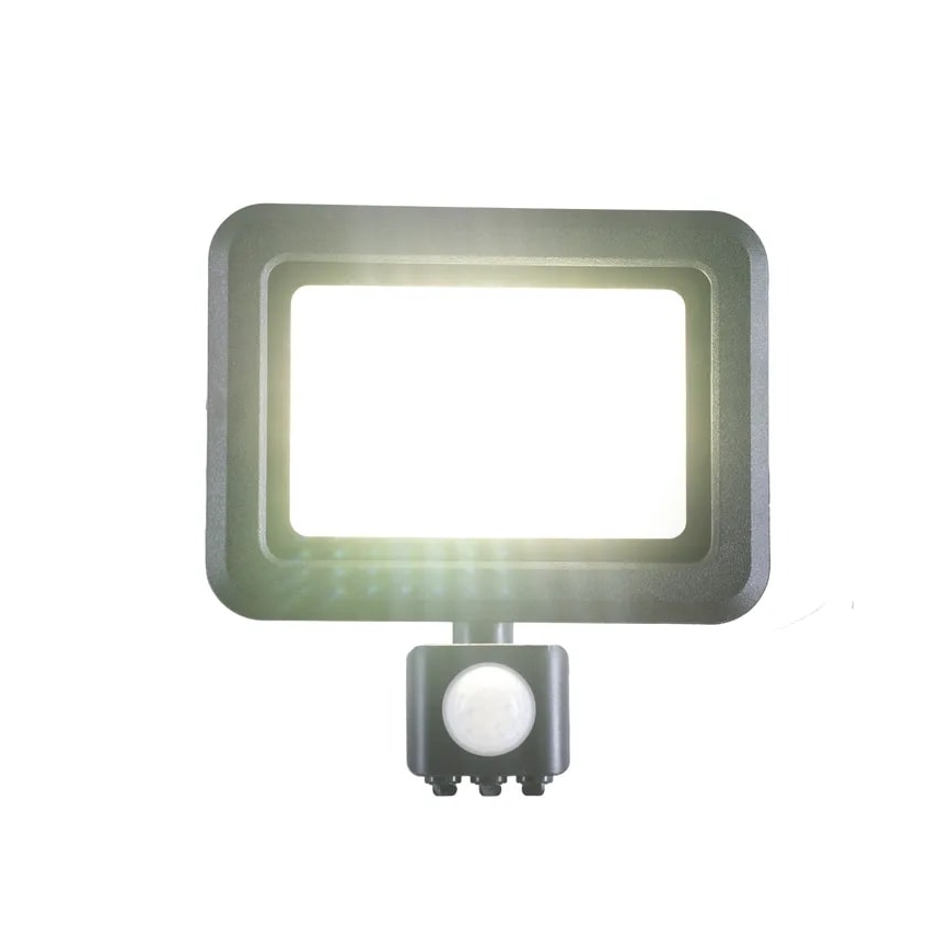 LED Reflektor sa senzorom LED/30W/230V 4000K IP44