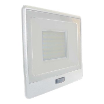 LED Reflektor sa senzorom LED/50W/230V 6500K IP65 bijela