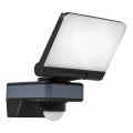 LED reflektor sa senzorom pokreta i sumraka LED/24W/230V 4200K IP54 crna