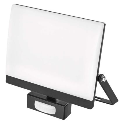 LED reflektor s senzorom pokreta i sumraka TAMBO EVO LED/50W/230V 4000K IP44 crna