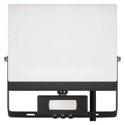 LED reflektor s senzorom pokreta i sumraka TAMBO EVO LED/50W/230V 4000K IP44 crna