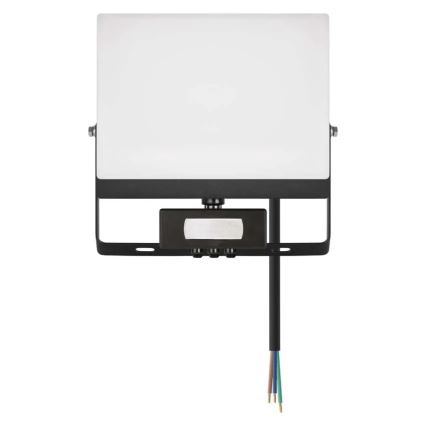 LED reflektor s senzorom pokreta i sumraka TAMBO EVO LED/50W/230V 4000K IP44 crna
