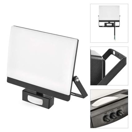 LED reflektor s senzorom pokreta i sumraka TAMBO EVO LED/50W/230V 4000K IP44 crna