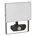 LED Reflektor sa senzorom TAMBO LED/30W/230V 4000K IP54