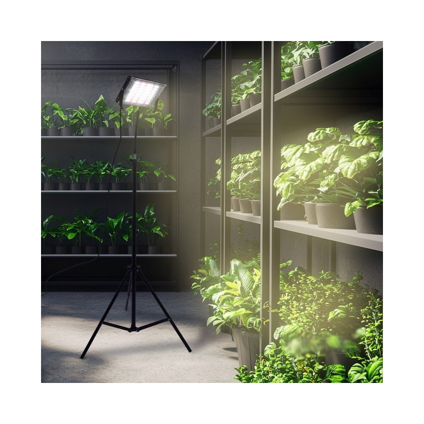 LED Reflektor sa stalkom za uzgoj biljaka FIRON LED/45W/230V IP54 crna