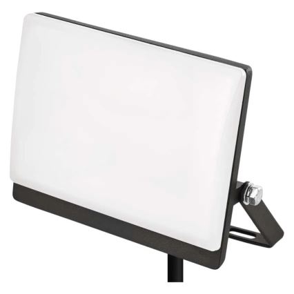 LED reflektor TAMBO EVO LED/20W/230V 4000K IP65 crni