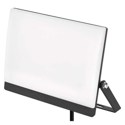 LED reflektor TAMBO EVO LED/50W/230V 4000K IP65 crna