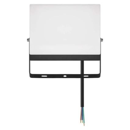 LED reflektor TAMBO EVO LED/50W/230V 4000K IP65 crna
