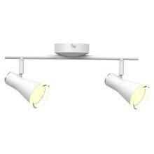 LED Reflektorska svjetiljka BERG 2xLED/4,2W/230V bijela
