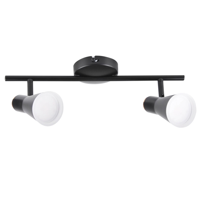 LED Reflektorska svjetiljka BERG 2xLED/4,2W/230V crna