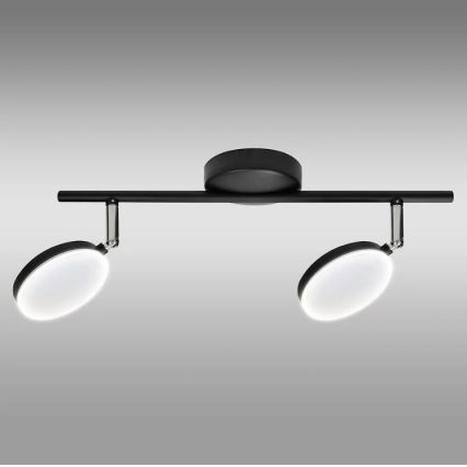 LED Reflektorska svjetiljka CAPRI 2xLED/5W/230V