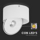 LED Fleksibilna reflektorska svjetiljka LED/20W/230V 3000/4000/6400K CRI 90 bijela