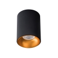 LED Reflektorska svjetiljka RITI 1xGU10/10W/230V crna/zlatna