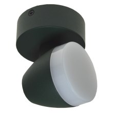 LED Reflektorska svjetiljka SURMUR LED/6W/230V zelena