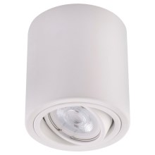 LED Reflektorska svjetiljka TUBA 1xGU10/5W/230V 4000K bijela