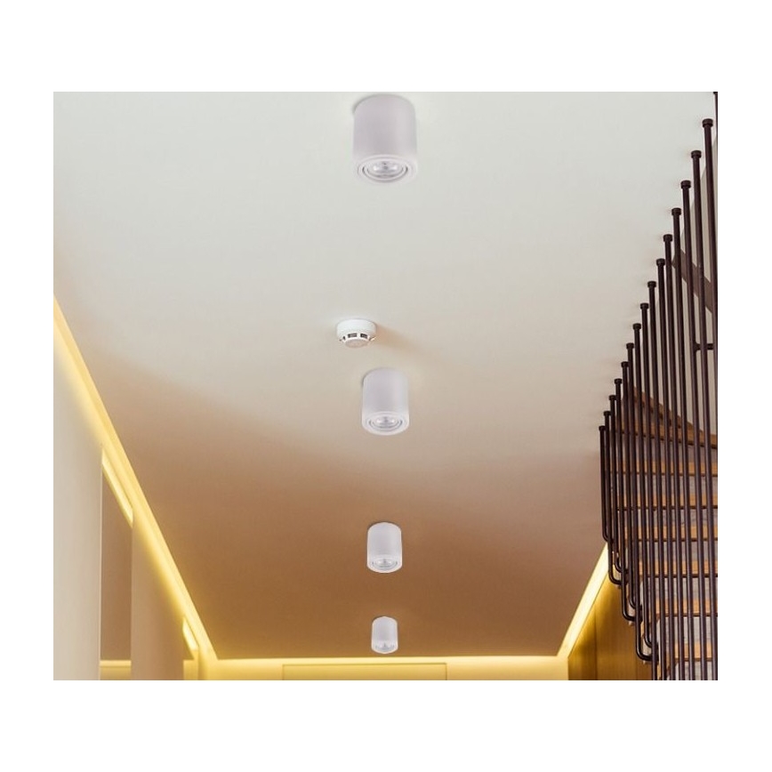 LED Reflektorska svjetiljka TUBA 1xGU10/5W/230V 4000K bijela